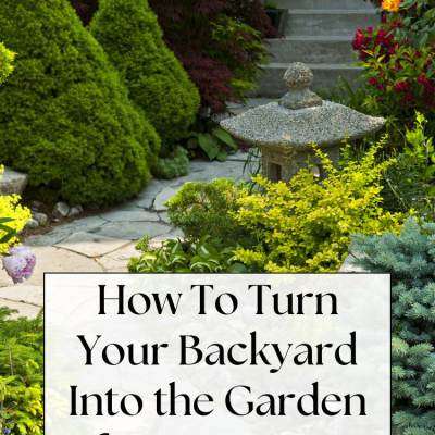 path with plants on either side text: How To Turn Your Backyard Into the Garden Of Your Dreams