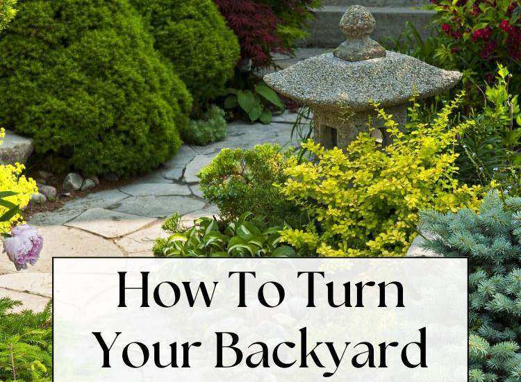 path with plants on either side text: How To Turn Your Backyard Into the Garden Of Your Dreams