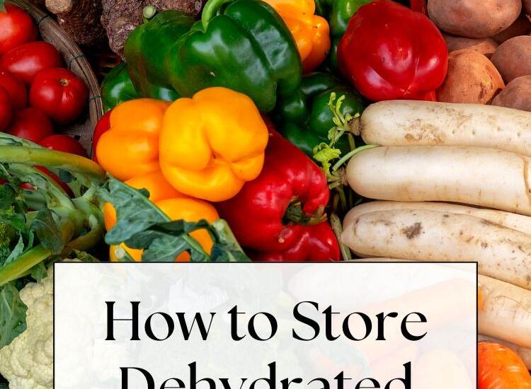 colorful vegetable assortment Text: How to Store dehydrated Vegetables