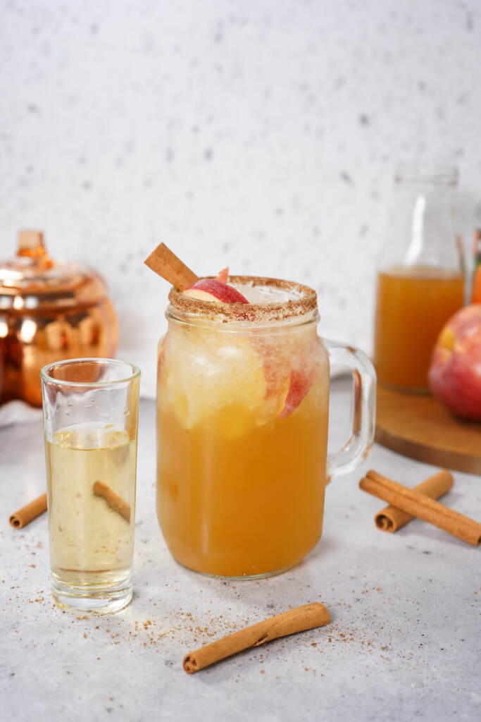Apple Autumn Margarita with a cinnamon stick in the glass