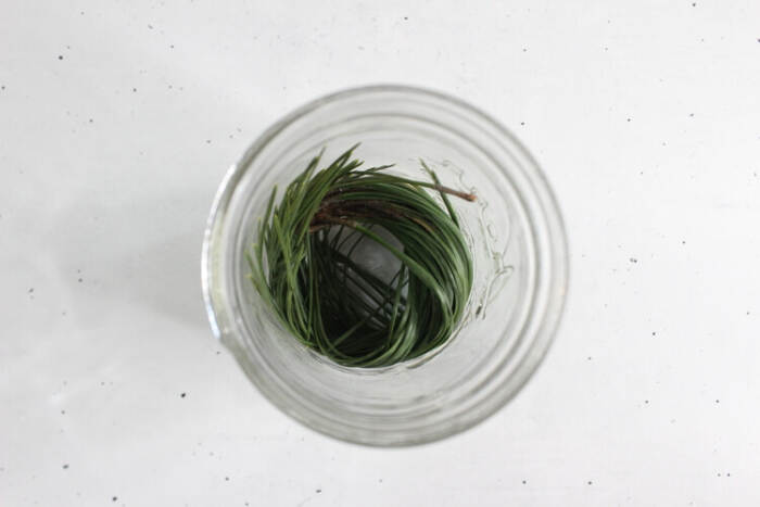 pine needles in a glass jar