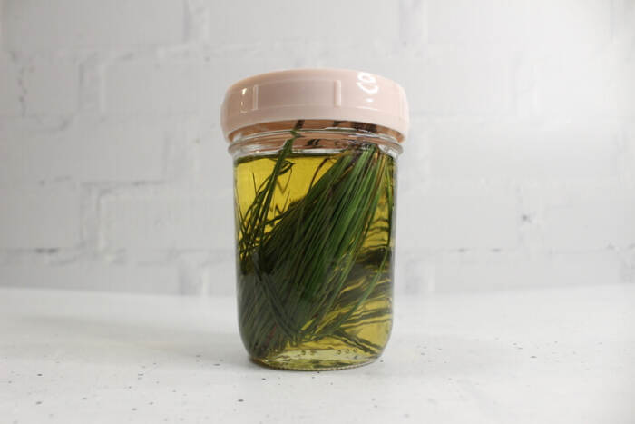 pine needles covered with oil