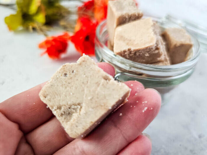 Pumpkin Sugar Scrub Cubes in a hand