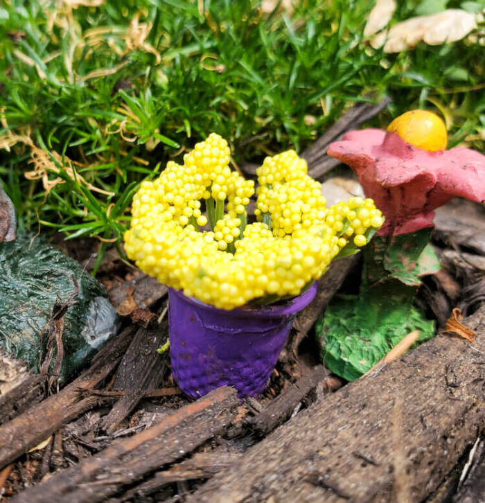 yellow flowers in diy flower pot for fairy gardens